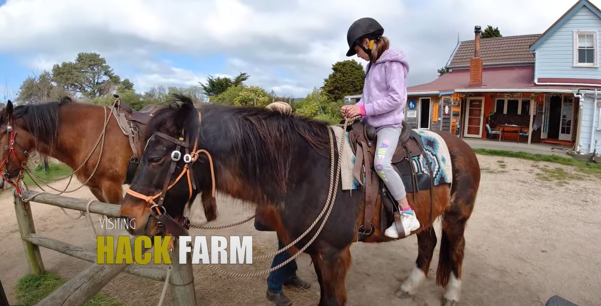 Hack Farm