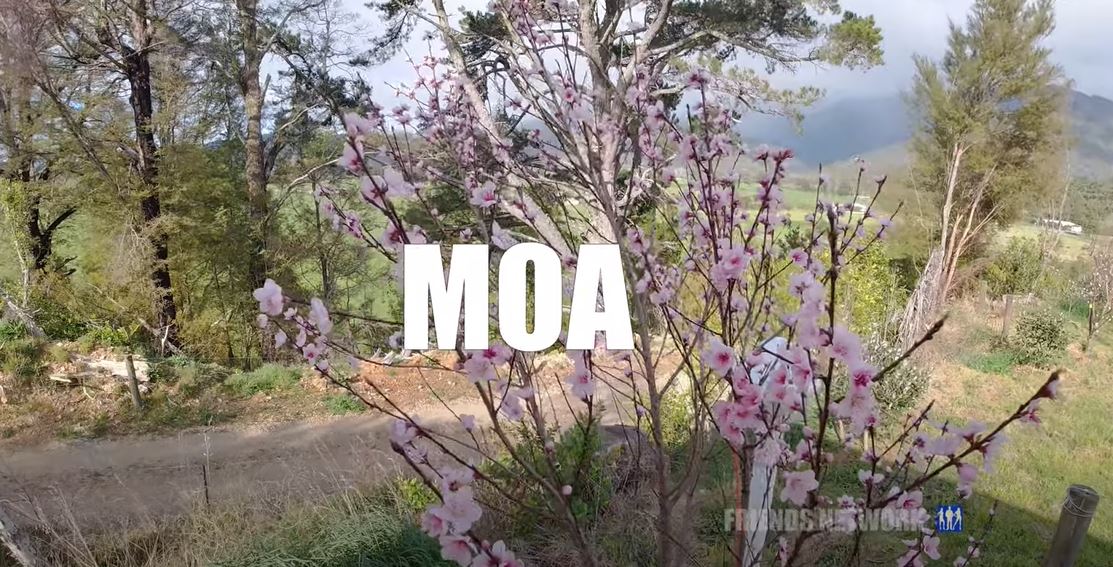 Moa - Hack Farm
