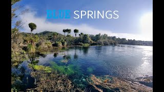 Blue Springs