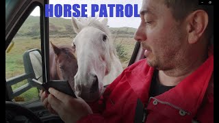 Horse Partol