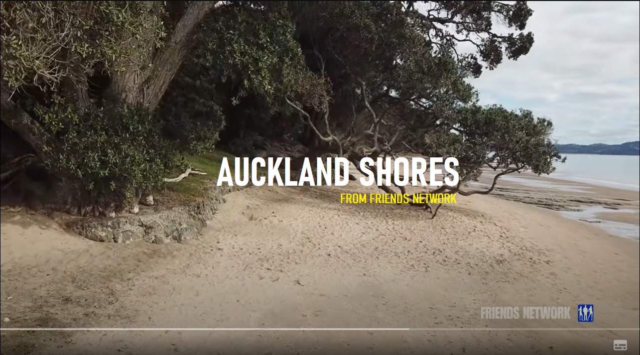 Auckland Shores
