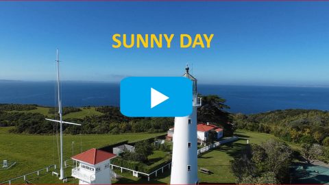 Солнечный День